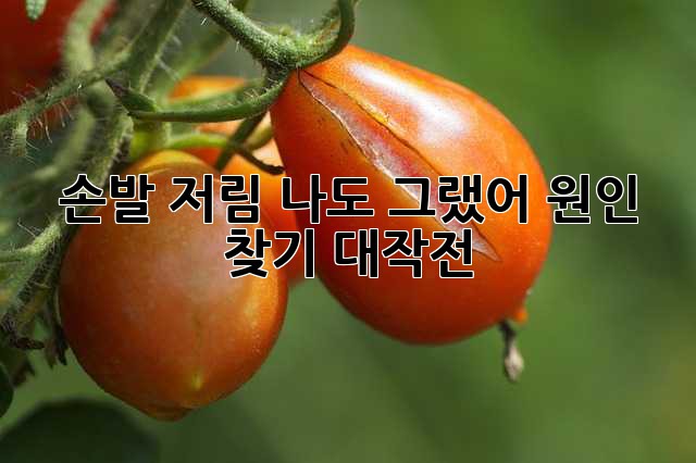 e50eff7c487100d13b67d04bb1c26558.jpg