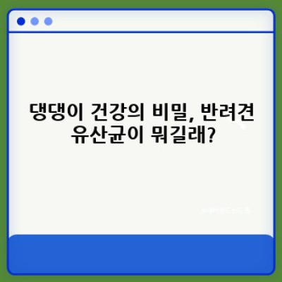 내 반려견에게 꼭 필요한 유산균? 반려견 유산균 선택 가이드 & 효능 총정리!