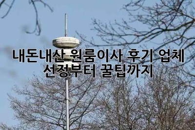 내돈내산 원룸이사 후기🏠 업체 선정부터 꿀팁까지🍯