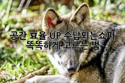 공간 효율 UP! 수납되는쇼파 똑똑하게 고르는 법 🛋️✨
