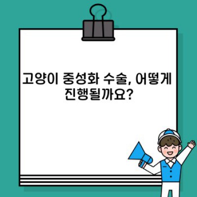 고양이 중성화 수술: 모든 궁금증 해소!  필수 정보부터 수술 후 관리까지