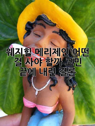 웨지힐 메리제인, 어떤 걸 사야 할까? 고민 끝에 내린 결론!