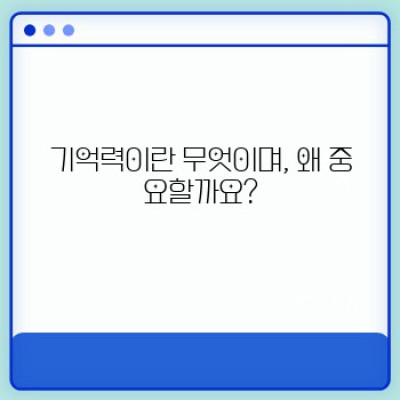 기억력 향상 완벽 가이드: 잊어버리는 걱정, 이제 그만!