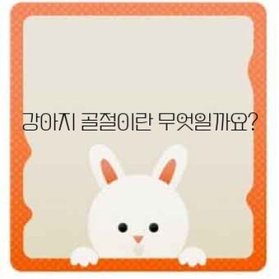 강아지 골절: 예방과 치료의 모든 것