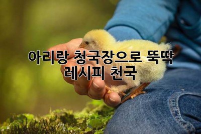 아리랑 청국장으로 뚝딱! 레시피 천국 ✨