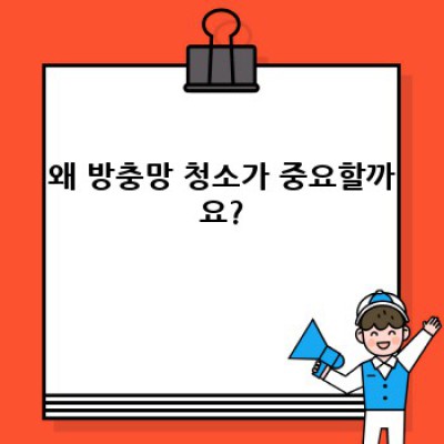 방충망 청소 완벽 가이드: 충청북도 보은군 회인면 애곡리에서 깨끗한 여름 맞이하기
