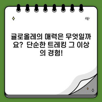 귤로올레 완벽 가이드: 제주 감귤 향 가득한 올레길 여행 완전 정복!