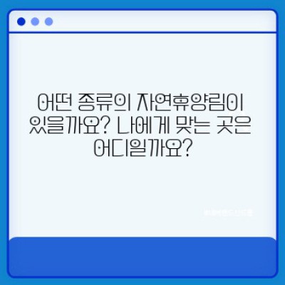 자연휴양림 완벽 가이드: 예약부터 즐길 거리까지!
