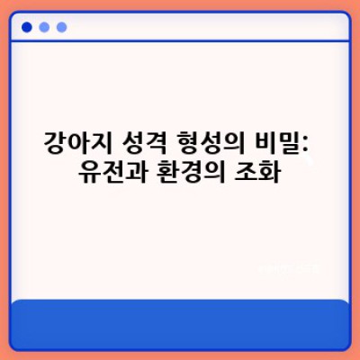 내 강아지, 어떤 성격일까요? 강아지 성격 완벽 분석 가이드