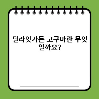 딜라잇가든 고구마: 궁금증 해소부터 맛있는 활용법까지!