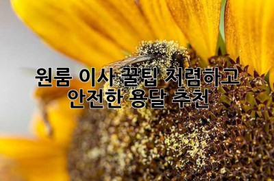 원룸 이사 꿀팁🍯: 저렴하고 안전한 용달 추천! 🚚💨