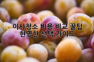 이사청소 비용 비교 꿀팁🍯: 현명한 선택 가이드
