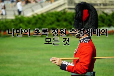 나만의 초록 정원, 수경재배의 모든 것!🌿