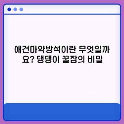 애견마약방석 완벽 가이드: 댕댕이 꿀잠의 비밀, 장점과 단점, 선택 가이드까지!