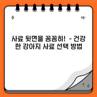 우리 강아지, 건강하게 오래오래! 강아지 건강식 완벽 가이드
