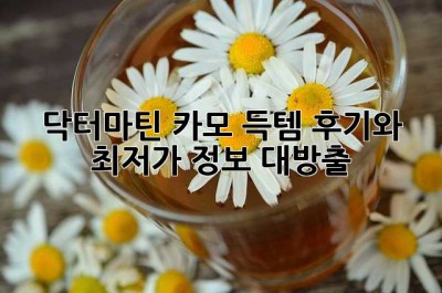 닥터마틴 카모: 득템 후기와 최저가 정보 대방출!