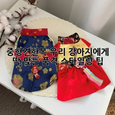 중형견한복, 우리 강아지에게 딱 맞는 품격 스타일링 팁 🐾