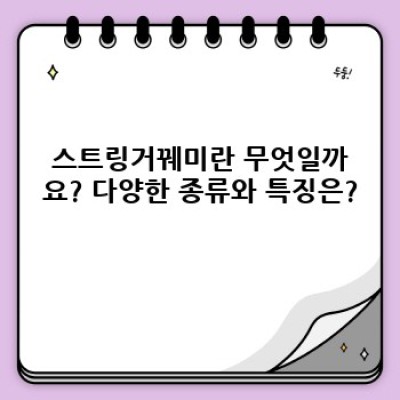 스트링거꿰미 완벽 가이드: 종류, 사용법, 관리법까지!