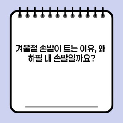 쩍쩍 갈라지는 손발, 이젠 안녕! 겨울철 손발 트는 증상 완벽 관리 가이드