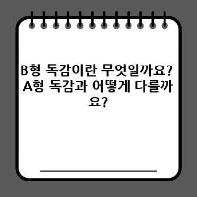 B형 독감 요약정보 우선 확인: 증상, 예방, 치료 완벽 가이드