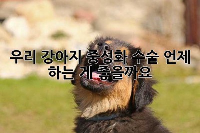 우리 강아지, 중성화 수술 언제 하는 게 좋을까요?