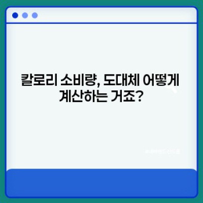 나에게 딱 맞는 칼로리 소비량 계산법 완벽 가이드