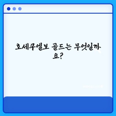 호세쿠엘보 골드: 당신이 알아야 할 모든 것!