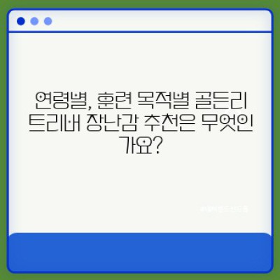 골든리트리버를 위한 최고의 장난감 선택 가이드: 똑똑한 견주를 위한 완벽한 장난감 리스트