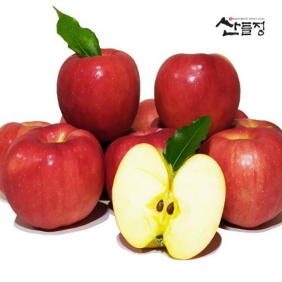 ✨ 놓치면 후회! 꿀맛 사과 햇홍로 득템 후기🍎 (ft. 특가 정보)