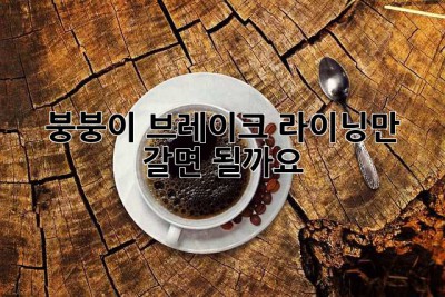 붕붕이 브레이크, 라이닝만 갈면 될까요?  🤔