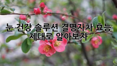 눈 건강 솔루션? 결명자차 효능 제대로 알아보자! ✨