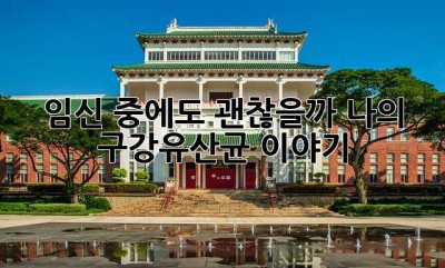 임신 중에도 괜찮을까? 나의 구강유산균 이야기 ✨