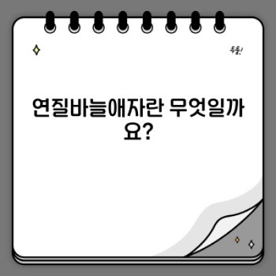 연질바늘애자 완벽 가이드: 작동원리, 장점, 그리고 활용법