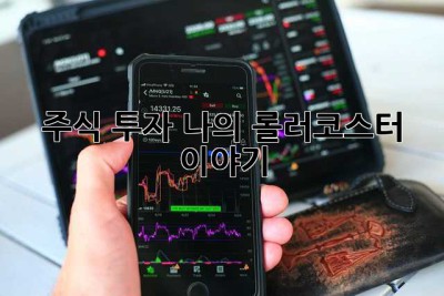 주식 투자, 나의 롤러코스터 이야기🎢
