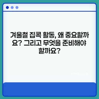 겨울철 집콕 활동: 추위 걱정 없이 즐기는 실내 취미 & 놀이 완벽 가이드
