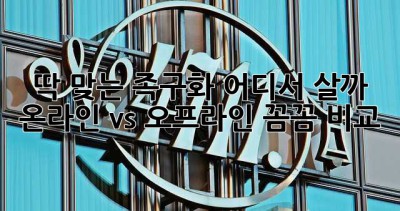 딱 맞는 족구화, 어디서 살까? 온라인 vs 오프라인 꼼꼼 비교!