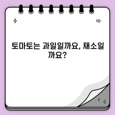토마토 완벽 가이드: 궁금증 해결과 활용법 총정리
