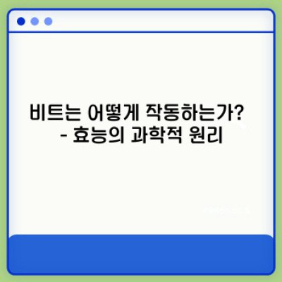 비트의 효능: 건강에 좋은 뿌리채소의 놀라운 효과 완벽 가이드