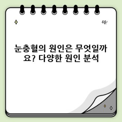 눈충혈 중요 정보 요약: 원인, 증상, 치료, 예방까지 완벽 가이드