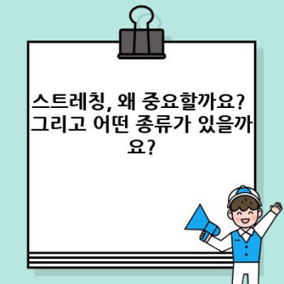 2023 최신 스트레칭 루틴 완벽 가이드: 건강한 몸, 유연한 삶을 위한 필수 지침