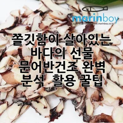 쫄깃함이 살아있는 바다의 선물! 문어반건조 완벽 분석 & 활용 꿀팁 🐙